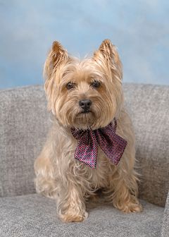 Corky_DSC6331